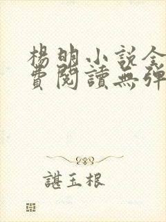 杨明小说全文免费阅读无弹窗