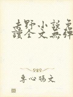 去野小说免费阅读全文无弹窗