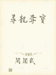 寻龙夺宝封面
