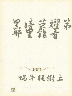 黑暗荣耀第一季哪里能看