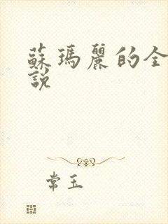 苏玛丽的全部小说封面