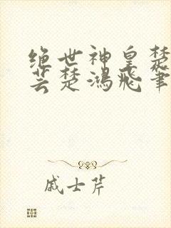 绝世神皇楚风楚芸楚鸿飞笔趣阁