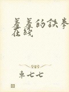 羞羞的铁拳免费在线封面