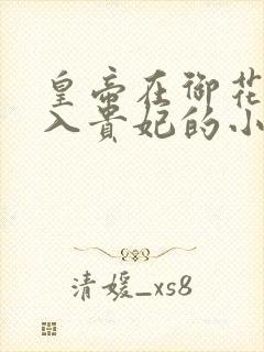 皇帝在御花园进入贵妃的小说