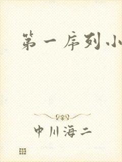 第一序列小说封面