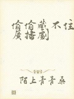 偷偷藏不住积灰广播剧封面