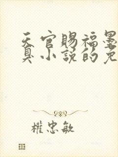 天官赐福墨香铜臭小说的免费阅读