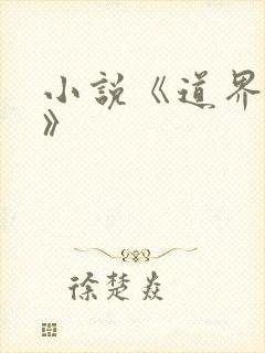 小说《道界天下》封面