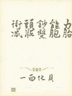 街头钞能力无删减版双胞胎