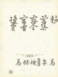 后宫露营动漫免费看全集