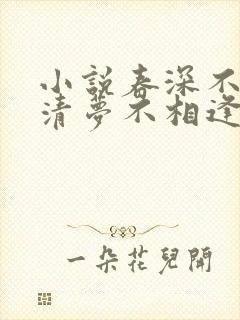 小说春深不归客清梦不相逢免费阅读封面