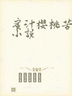 蜜汁樱桃苦咖啡小说封面