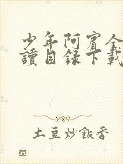 少年阿宾全文阅读目录下载