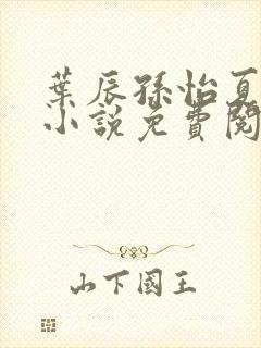 叶辰孙怡夏若雪小说免费阅读全文