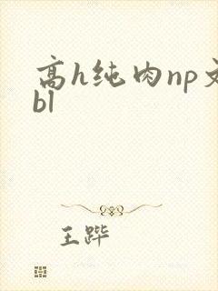 高h纯肉np文bl