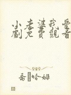 小老婆我爱你短剧免费观看高清封面