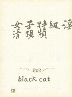 女子特级淫片高清视频