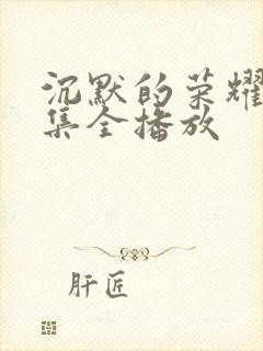 沉默的荣耀40集全播放封面