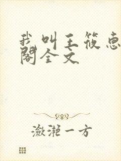 我叫王筱惠笔趣阁全文封面