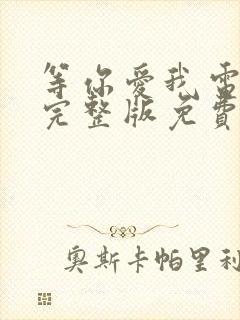 等你爱我电视剧完整版免费观看