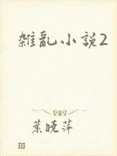 杂乱小说2