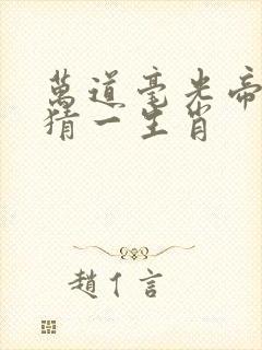 万道毫光帝业基猜一生肖