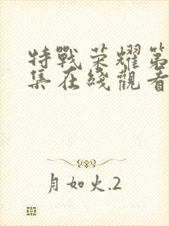 特战荣耀第17集在线观看