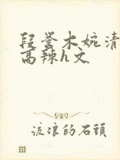 段誉木婉清h文高辣h文