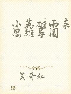 小英雄雨来全书思维导图