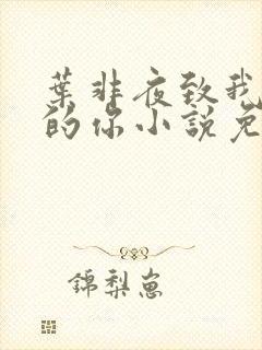 叶非夜致我最爱的你小说免费阅读