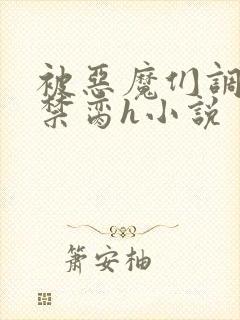 被恶魔们调教成禁脔h小说封面