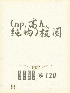 (np,高h,纯肉)校园