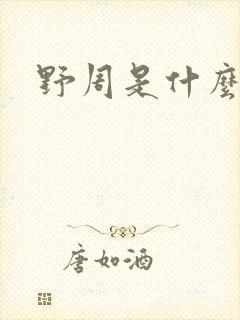 野周是什么意思封面