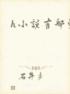 h小说有哪些封面