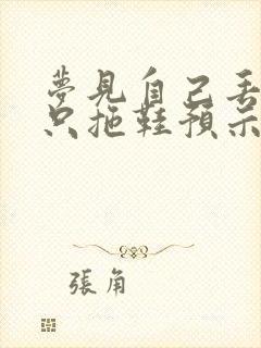 梦见自己丢了一只拖鞋预示什么