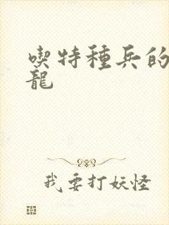 吃特种兵的大黑龙封面
