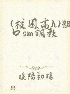 (校园高h)粗口sm调教