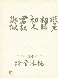 与君初相识,恰似故人归免费观看封面