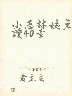 小志林姨免费阅读40章