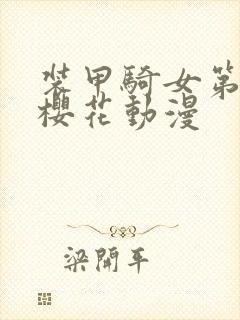 装甲骑女第一季樱花动漫封面