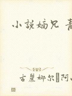 小说嫡兄 青灯封面