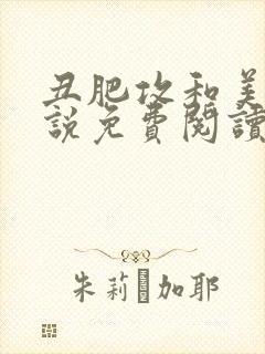 丑肥攻和美人小说免费阅读