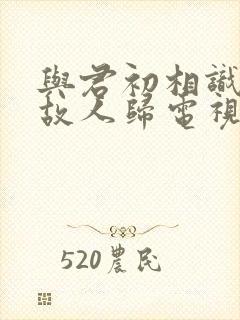 与君初相识恰似故人归电视剧免费观看完整版