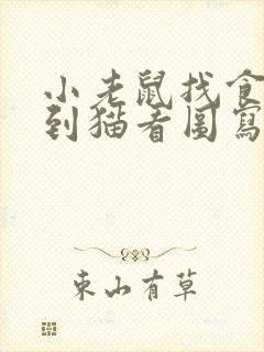 小老鼠找食物遇到猫看图写话