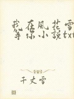 我在风花雪月里等你小说txt封面