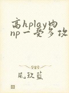 高hplay肉np一受多攻