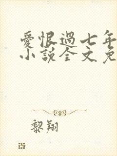 爱恨过七年原著小说全文免费阅读