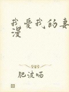 我爱我的妻子动漫