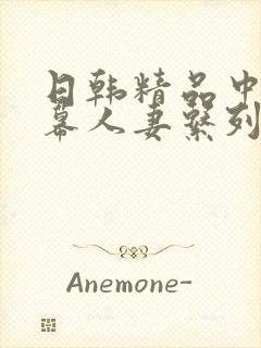 日韩精品中文字幕人妻系列