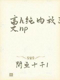 高h纯肉放荡h文np